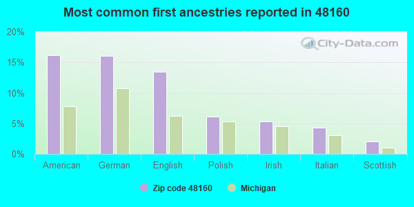 Most common first ancestries reported in 48160