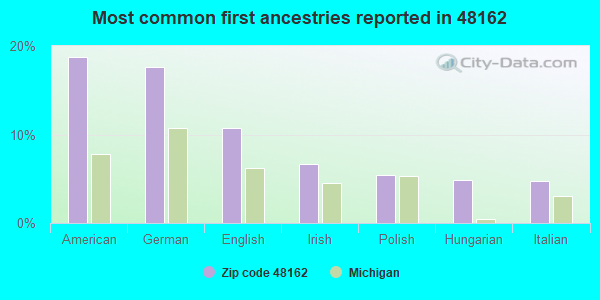 Most common first ancestries reported in 48162