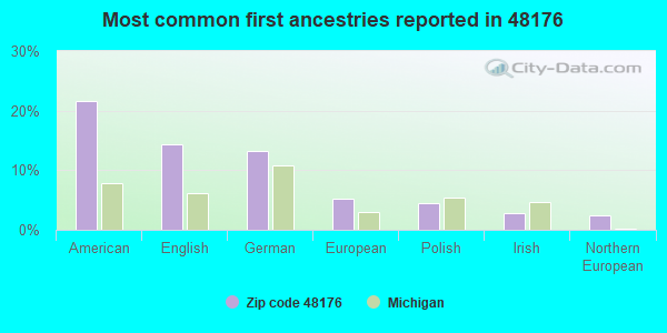Most common first ancestries reported in 48176