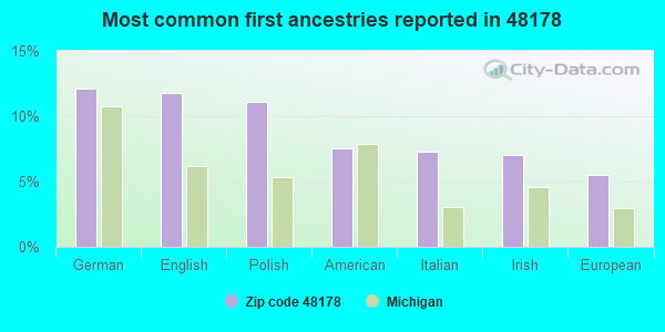 Most common first ancestries reported in 48178