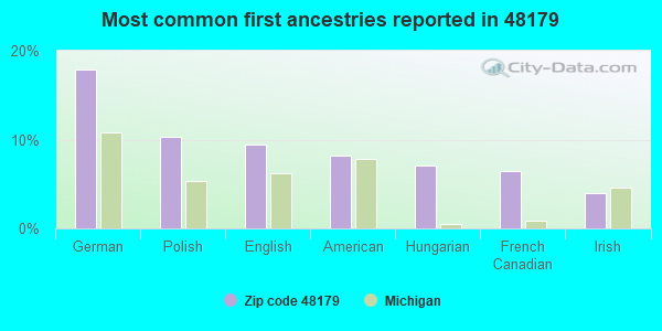 Most common first ancestries reported in 48179