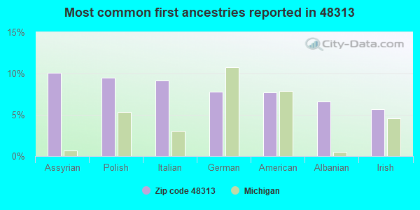 Most common first ancestries reported in 48313