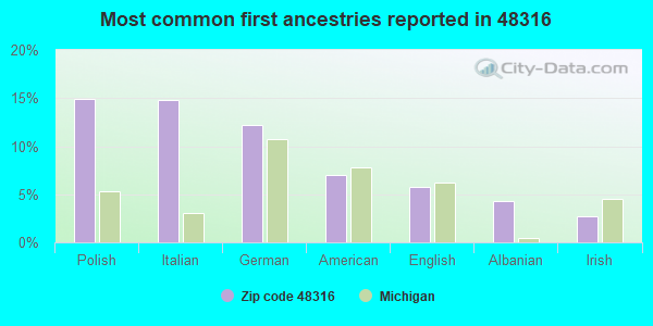 Most common first ancestries reported in 48316