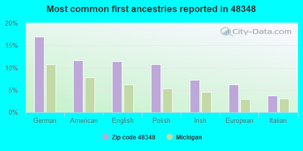 Most common first ancestries reported in 48348