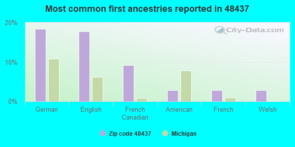 Most common first ancestries reported in 48437
