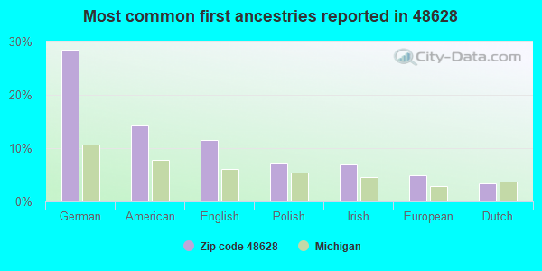 Most common first ancestries reported in 48628
