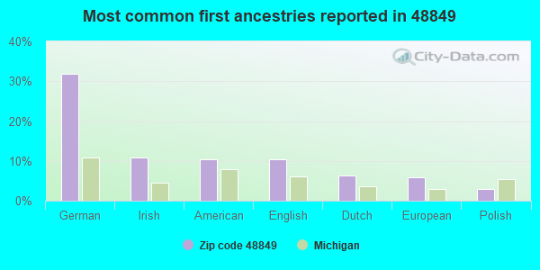 Most common first ancestries reported in 48849