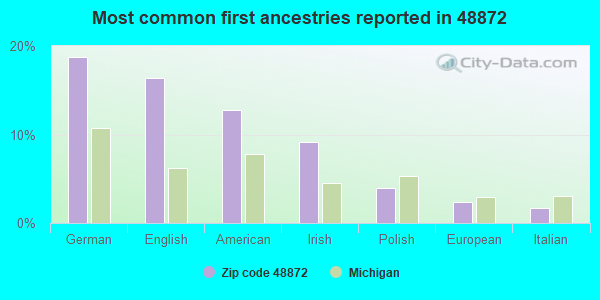 Most common first ancestries reported in 48872