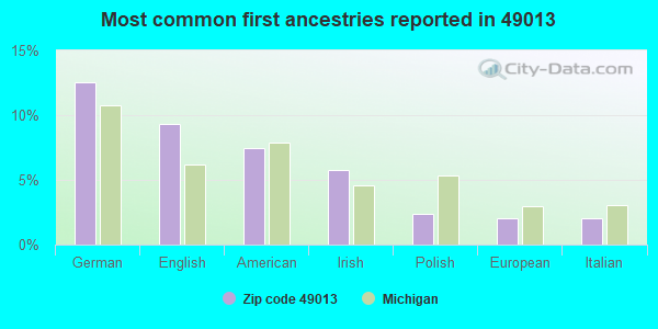 Most common first ancestries reported in 49013