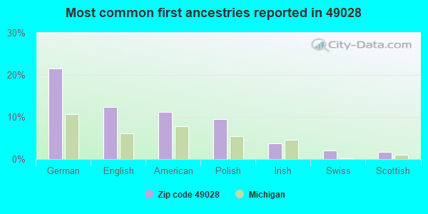 Most common first ancestries reported in 49028