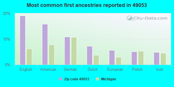 Most common first ancestries reported in 49053