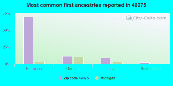 Most common first ancestries reported in 49075