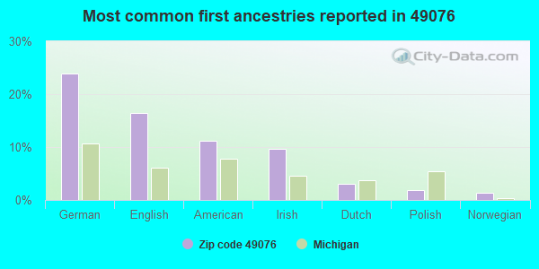 Most common first ancestries reported in 49076