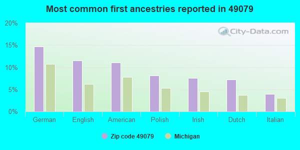Most common first ancestries reported in 49079