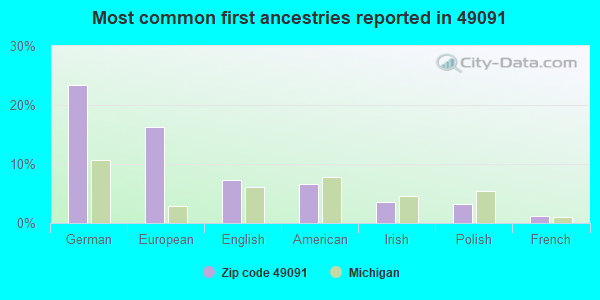 Most common first ancestries reported in 49091