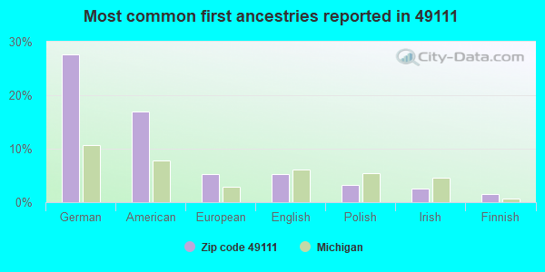 Most common first ancestries reported in 49111