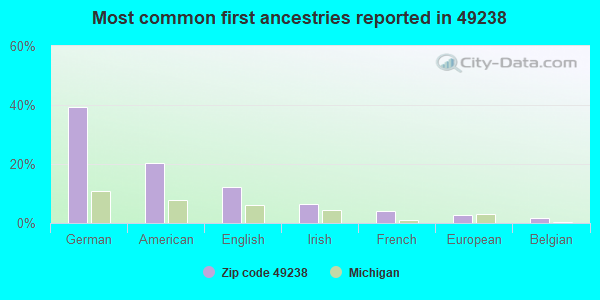 Most common first ancestries reported in 49238