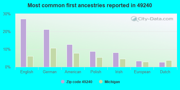 Most common first ancestries reported in 49240