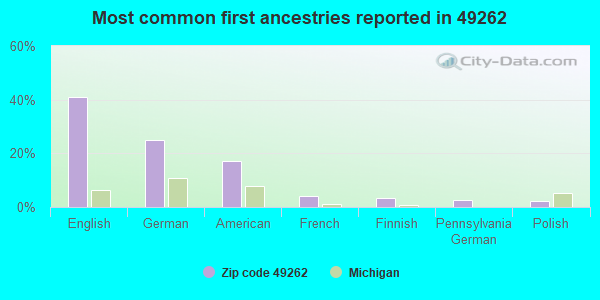 Most common first ancestries reported in 49262