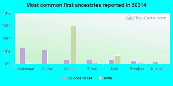 Most common first ancestries reported in 50314