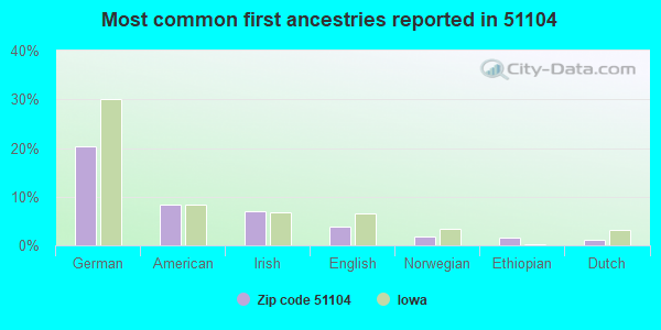 Most common first ancestries reported in 51104