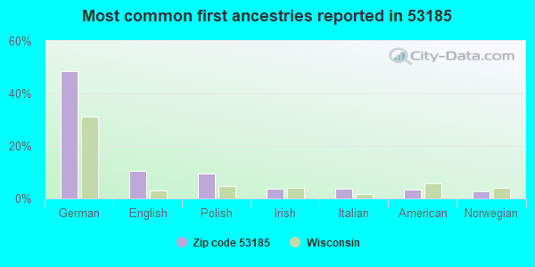 Most common first ancestries reported in 53185