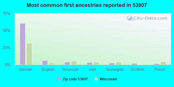 Most common first ancestries reported in 53807