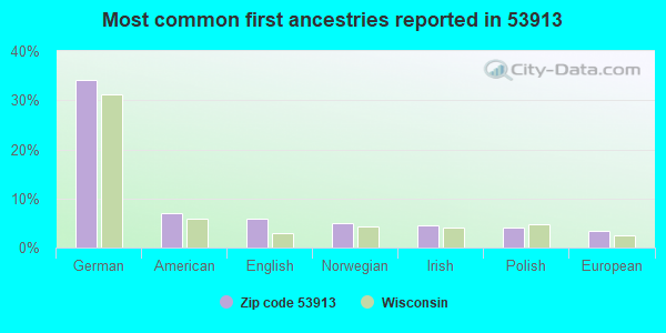 Most common first ancestries reported in 53913