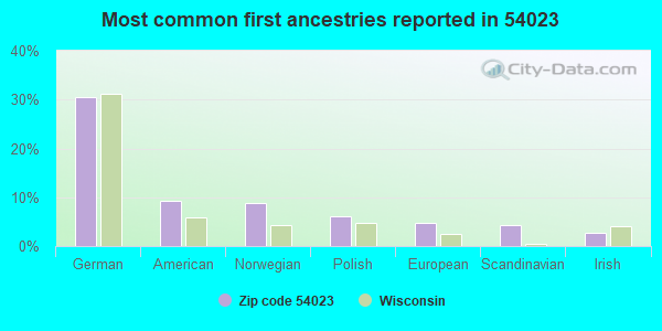 Most common first ancestries reported in 54023