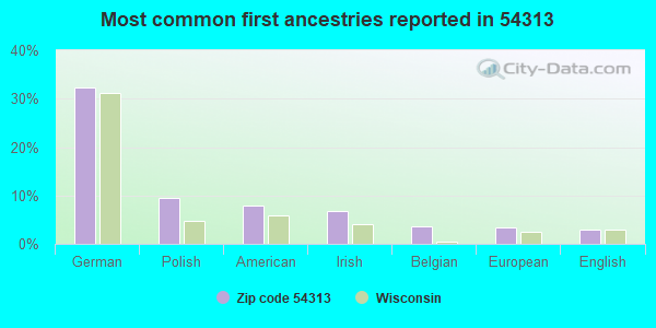Most common first ancestries reported in 54313