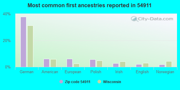 Most common first ancestries reported in 54911