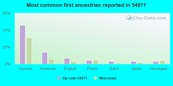 Most common first ancestries reported in 54971