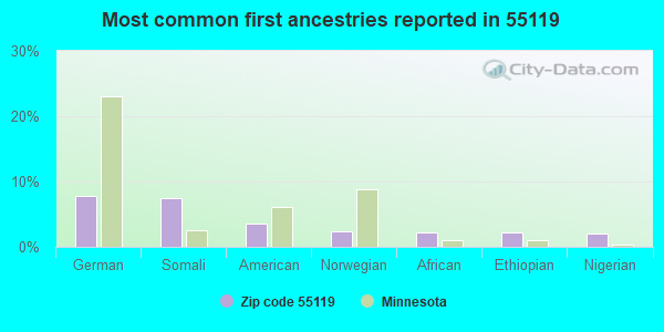 Most common first ancestries reported in 55119