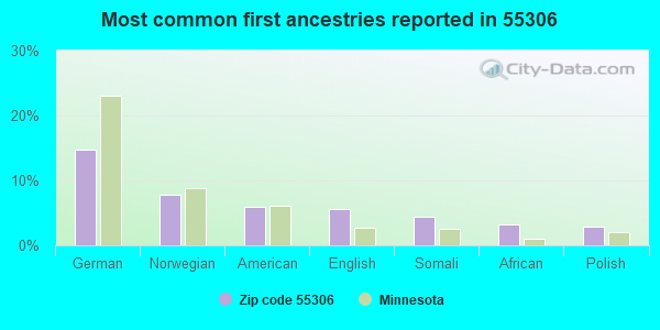 Most common first ancestries reported in 55306