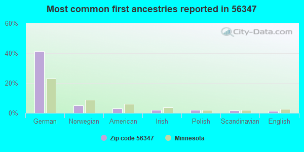 Most common first ancestries reported in 56347
