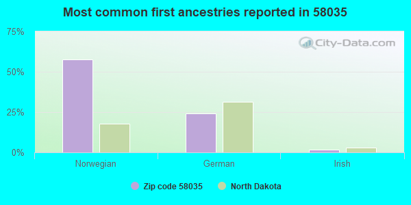 Most common first ancestries reported in 58035
