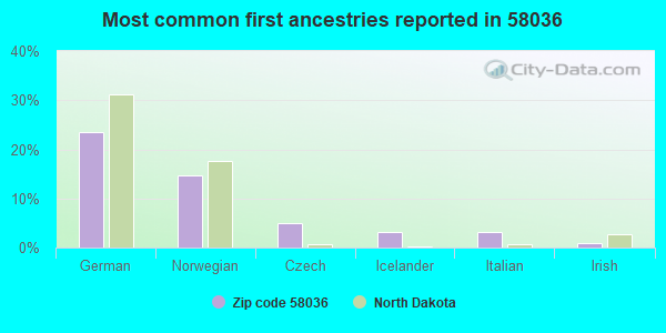 Most common first ancestries reported in 58036