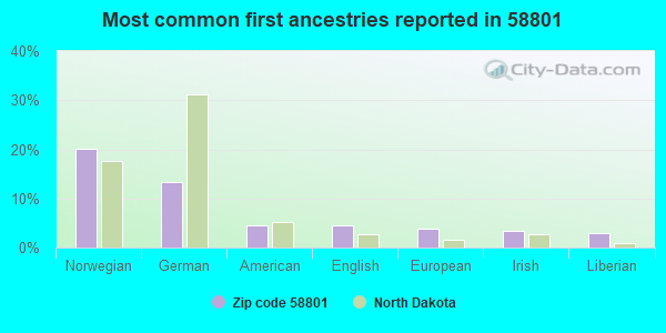 Most common first ancestries reported in 58801