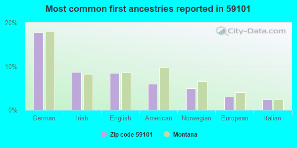 Most common first ancestries reported in 59101