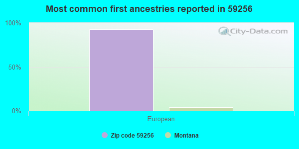 Most common first ancestries reported in 59256
