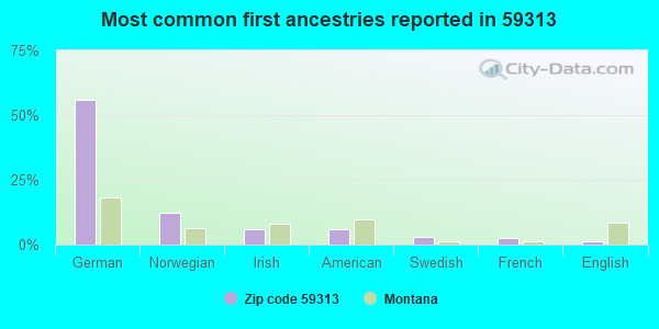 Most common first ancestries reported in 59313