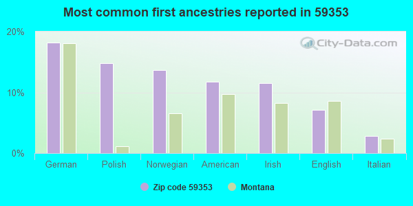 Most common first ancestries reported in 59353