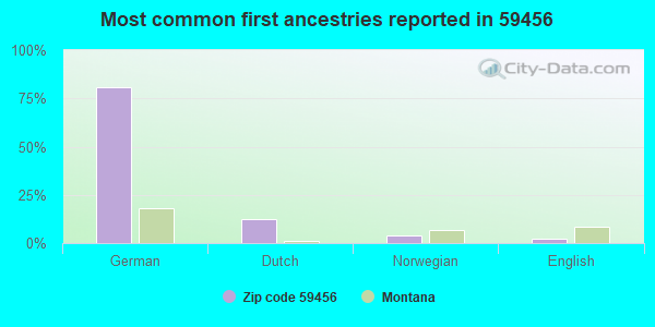 Most common first ancestries reported in 59456