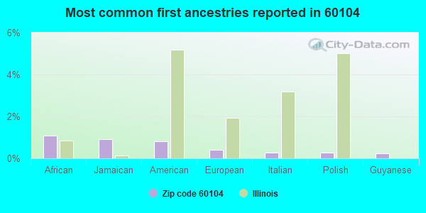 Most common first ancestries reported in 60104