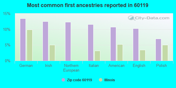 Most common first ancestries reported in 60119