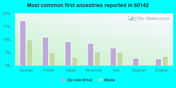 Most common first ancestries reported in 60142