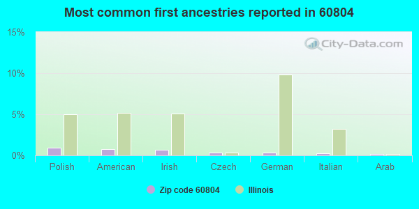 Most common first ancestries reported in 60804