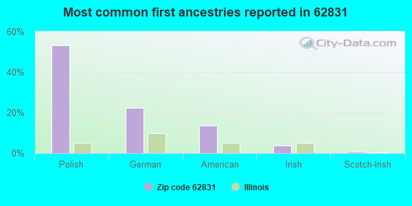 Most common first ancestries reported in 62831