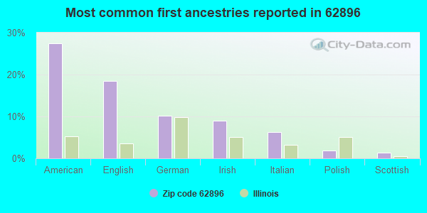 Most common first ancestries reported in 62896