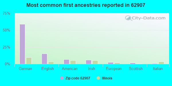 Most common first ancestries reported in 62907